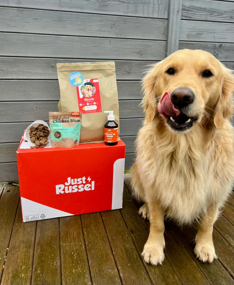 Golden Retriever neben Just-Russel-Box und Verpackung